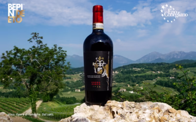 Ein Prosit auf das Silbersiegel für unseren Croda Ronca 2018