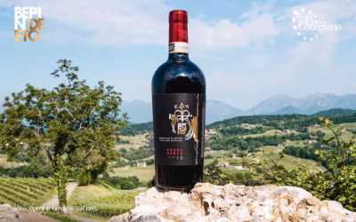 Brindiamo al sigillo d’argento per il nostro Croda Ronca 2018