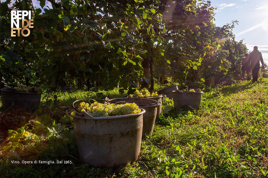 Bepin De Eto 2025 vendemmia San Pietro di Feletto 1080x720